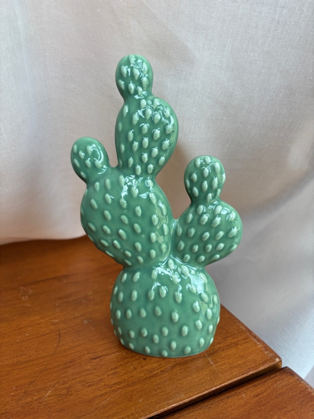 Green Ceramic Cactus Decor